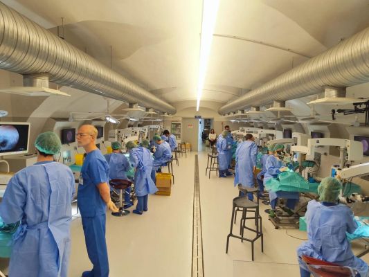 Head and Neck Dissection Course